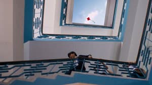 Kite