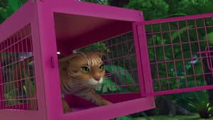 Mission: Rusty Spotted Cat Rescue