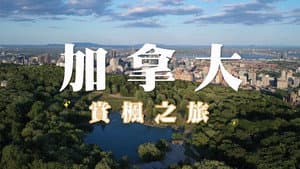 Episode 123