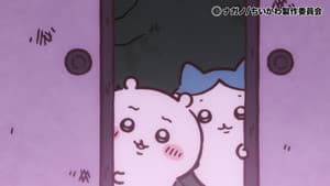 Episode 293