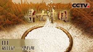 Episode 13