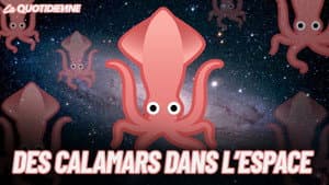 Episode 255