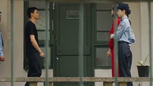 Episode 29