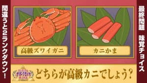 Artist Ranking Choice