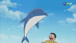 Kikaikaki