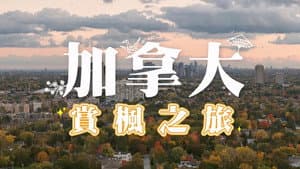 Episode 121