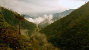 From Ecuador to Bolivia