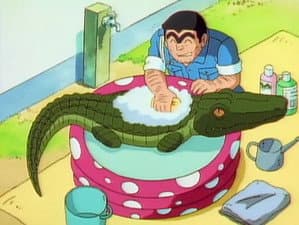 Alligator the Entertainer