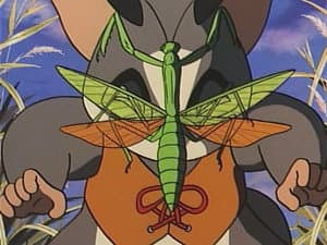 Episode 29