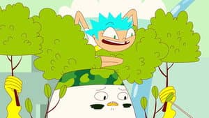 Raccoons
