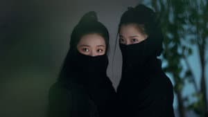 Veil Of Lies