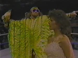 November 1, 1986 - Superstars of Wrestling #9