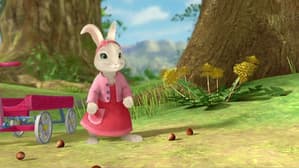The Tale of the Hazelnut Raid