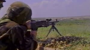 Machine Guns