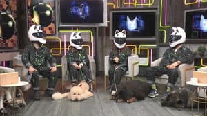 Episode 381