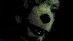The Werewolf Of Fever Swamp