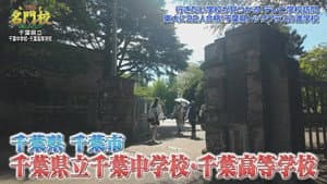 Episode 294