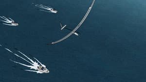 The Birdman Contest Bombing Case (2)