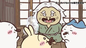 Episode 307
