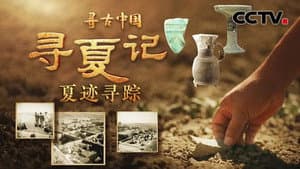 Episode 29