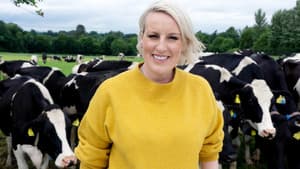 Cows Stranded in a River, Poachers Tracked by Drone