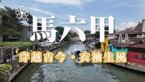 Episode 113