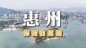Episode 110