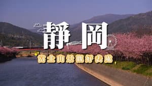 Episode 133