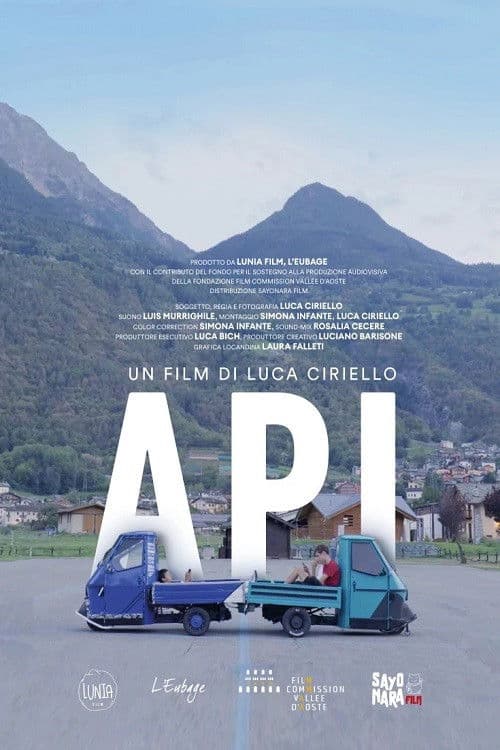 Api