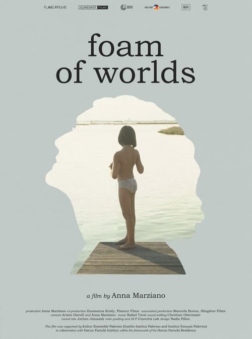 Foam of Worlds