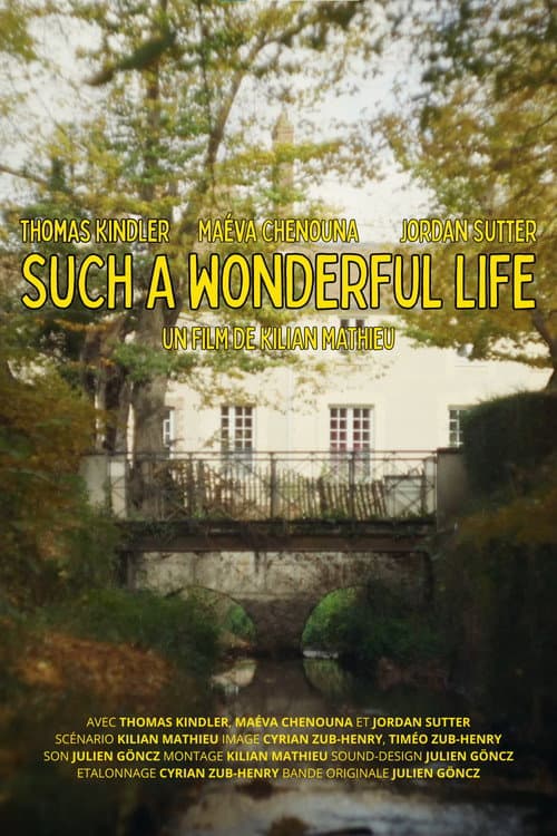 Such a Wonderful Life (long version)