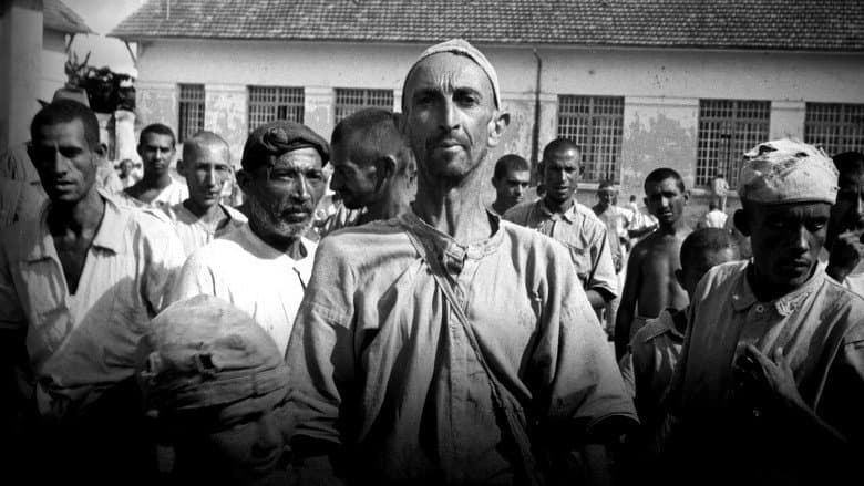 Brazilian Holocaust