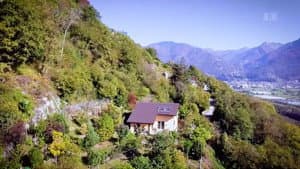 A garden in Le Tessin