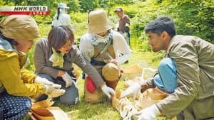 Can Tradition Inspire a Green Future?