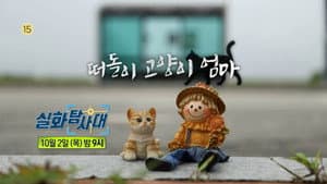 Episode 13