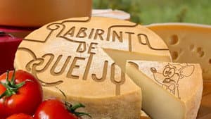 The Cheese Maze