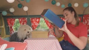 Episode 22
