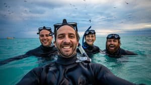 Search for Koombana