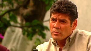 Episode 54