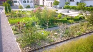 The biblical garden