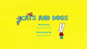 Cats and Dogs