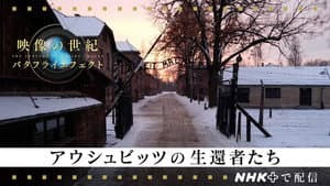 Episode 97