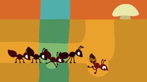 Ant