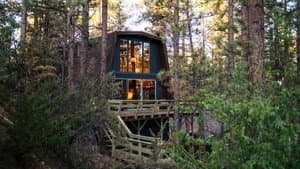 Big Bear Treehouse