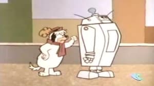 Mr Robots