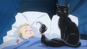 The Black Cat and the Prince