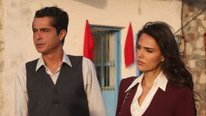 Episode 5