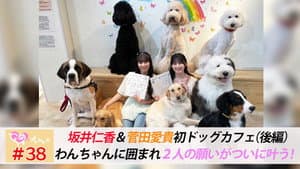 Episode 38