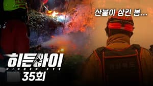Episode 35