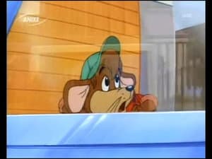 Max Goes to Washington